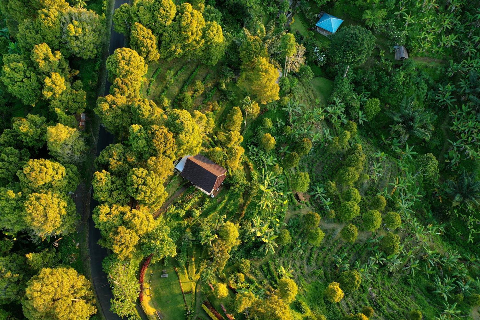 Bed and Breakfast Garden Terrace Bali Gobleg  Exterior foto